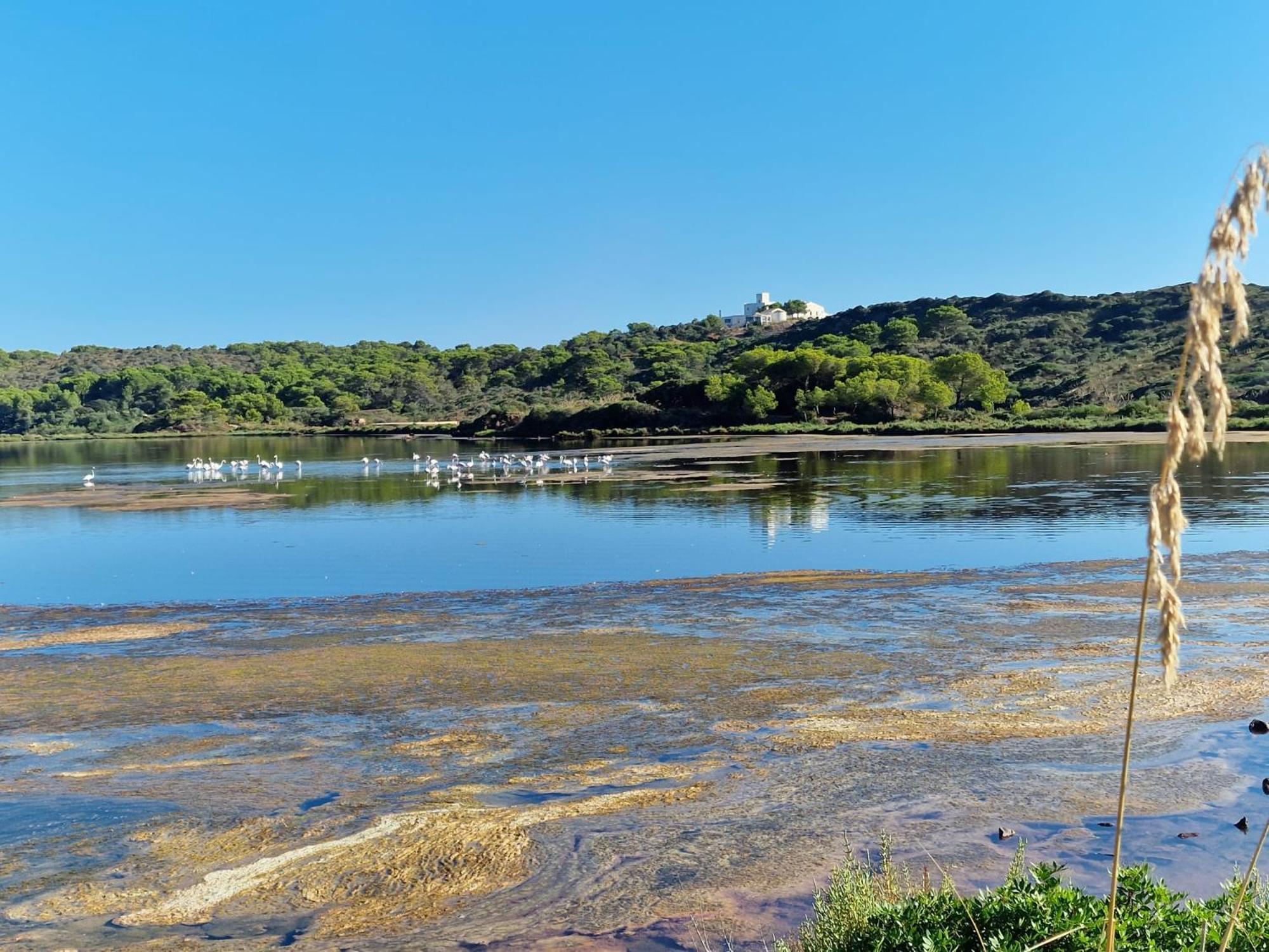 Mongofre Agroturismo Mahón Eksteriør bilde